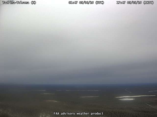webcam screenshot