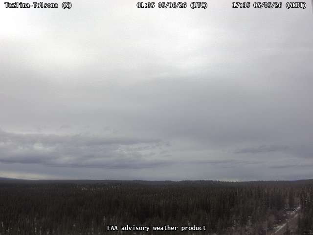 webcam screenshot