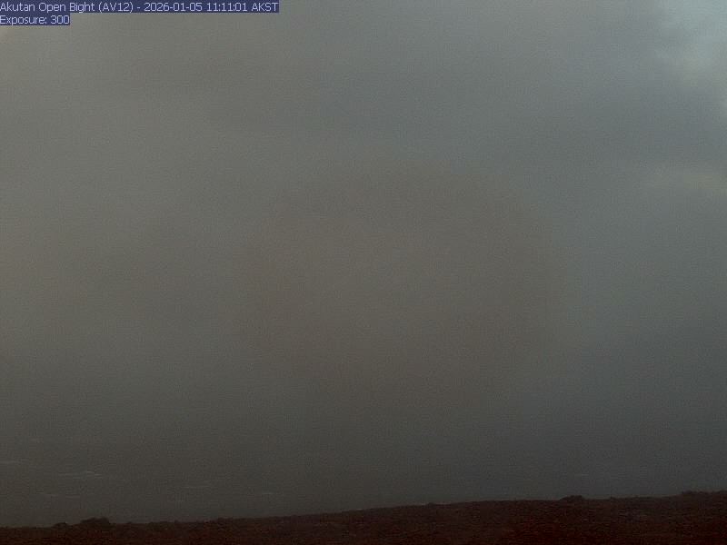 webcam screenshot