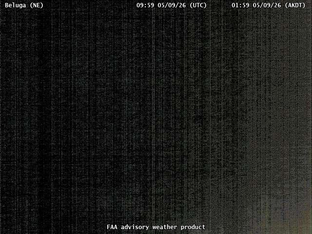 webcam screenshot