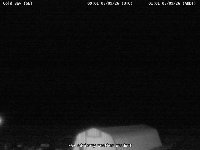 webcam screenshot