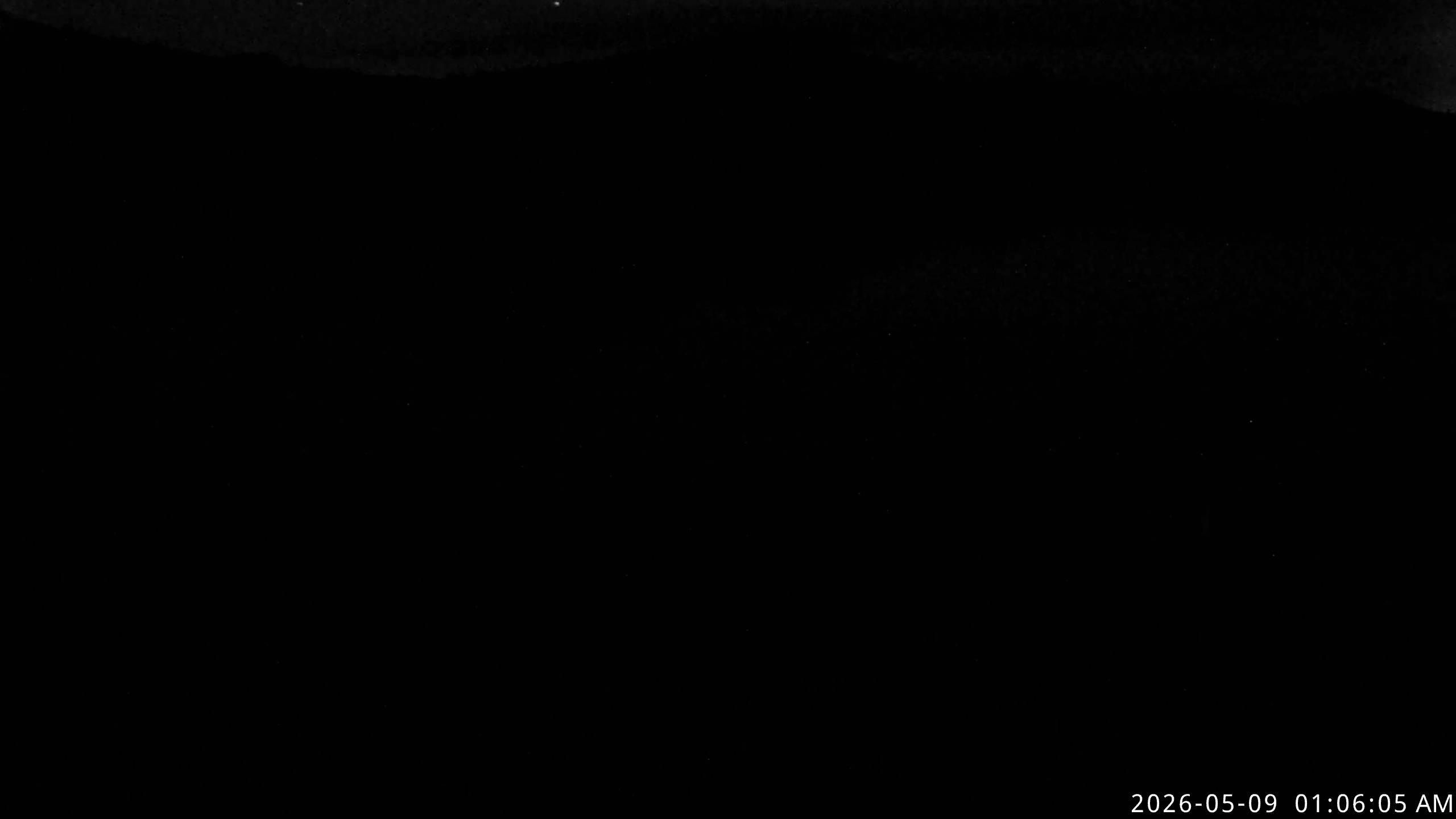 webcam screenshot