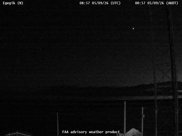 webcam screenshot