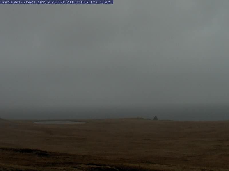 webcam screenshot