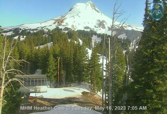 webcam screenshot