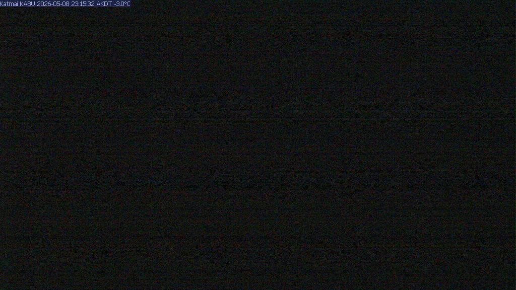 webcam screenshot