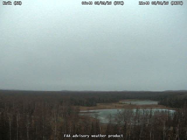 webcam screenshot