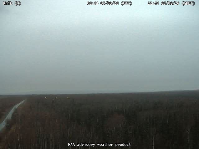 webcam screenshot