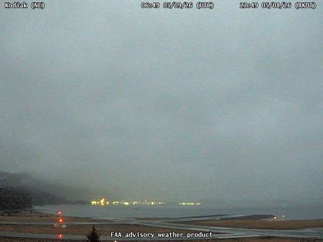 webcam screenshot