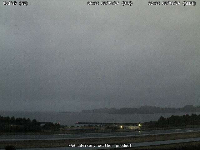 webcam screenshot