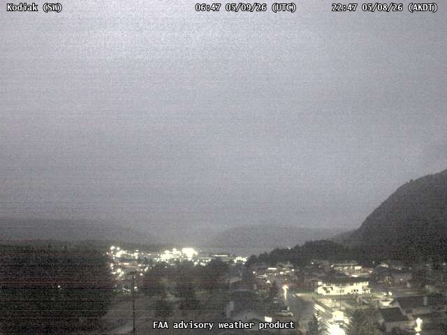 webcam screenshot