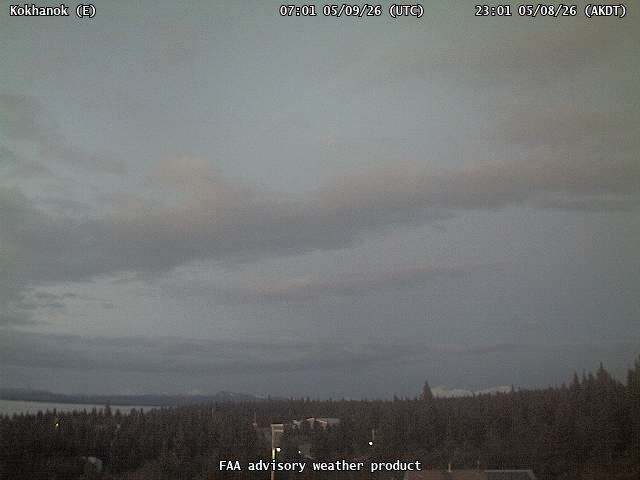 webcam screenshot