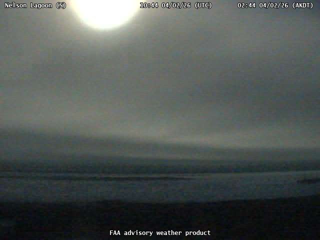 webcam screenshot
