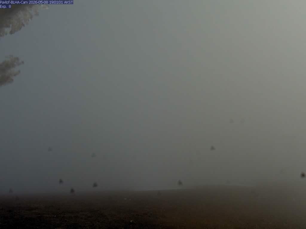 webcam screenshot