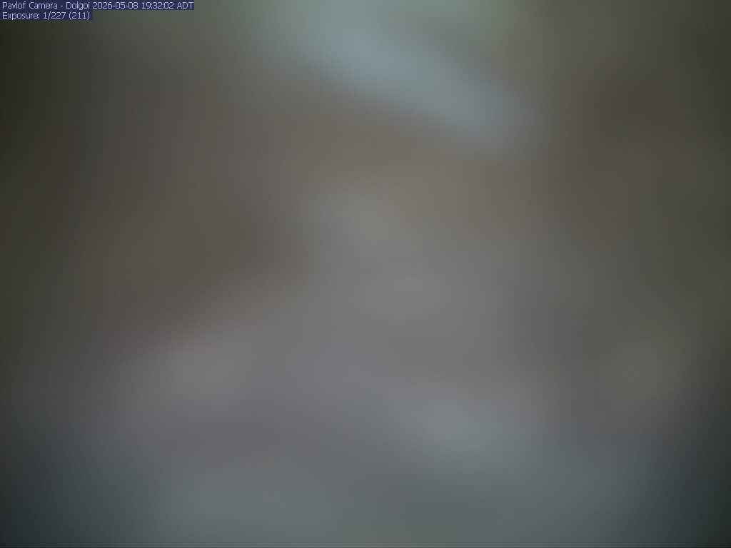webcam screenshot