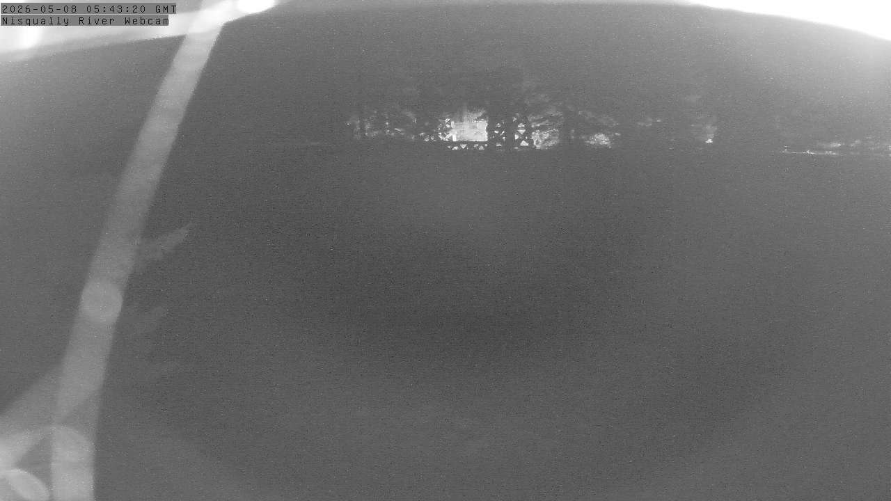 webcam screenshot