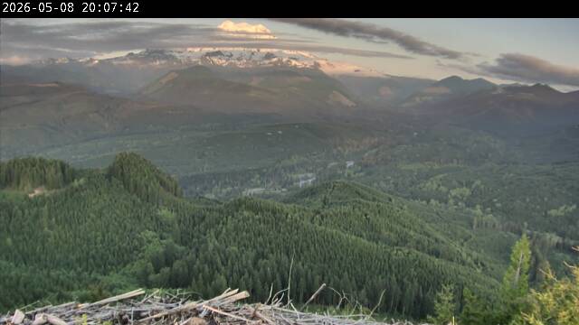 webcam screenshot