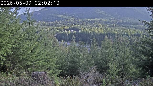 webcam screenshot