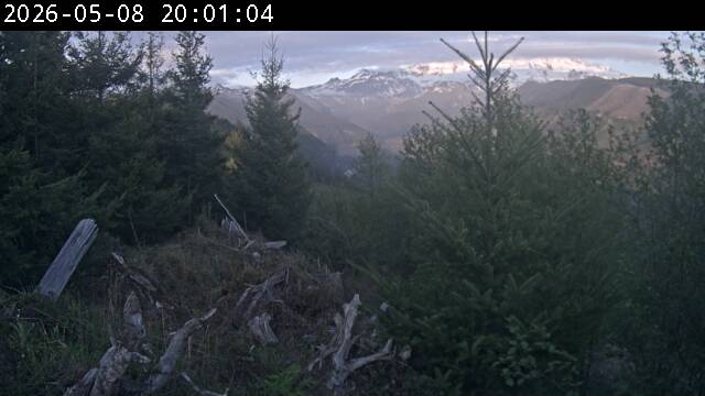 webcam screenshot