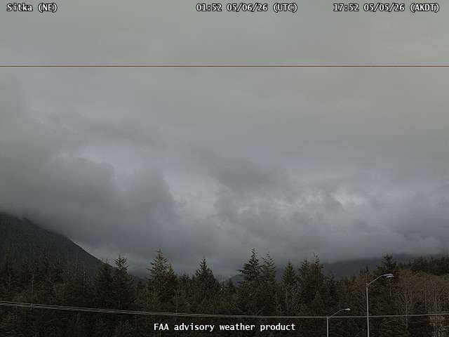 webcam screenshot