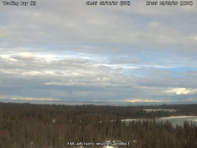 webcam screenshot