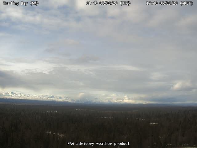 webcam screenshot
