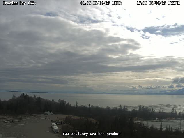 webcam screenshot