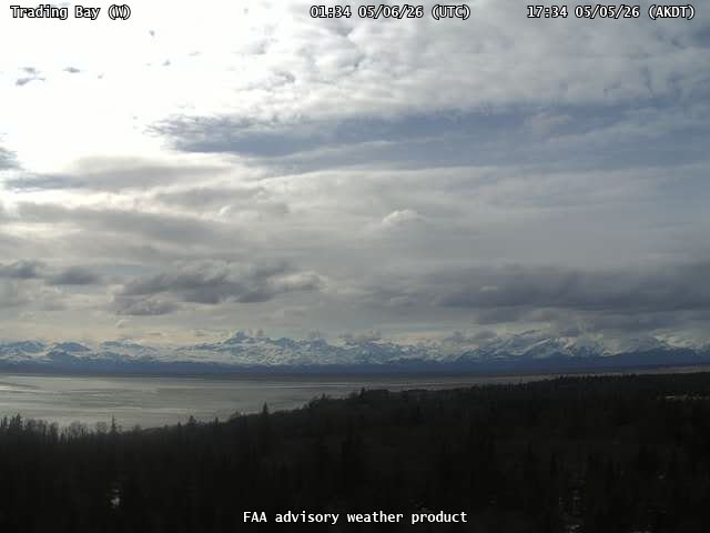 webcam screenshot