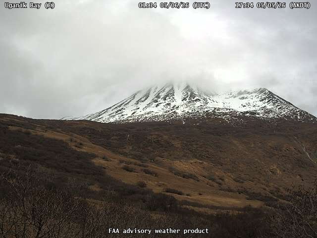 webcam screenshot