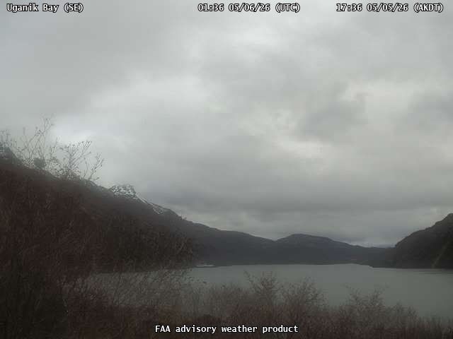 webcam screenshot