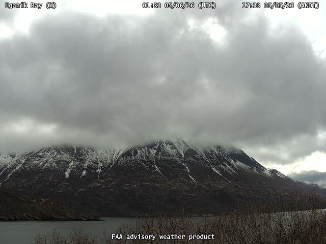 webcam screenshot